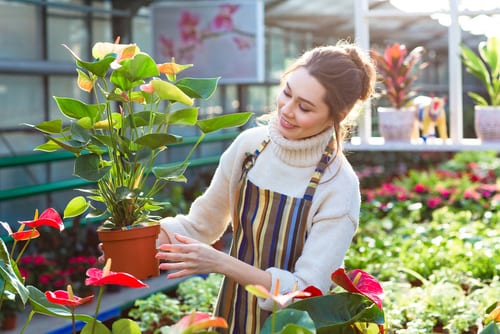 Inglés para trabajar como jardinero