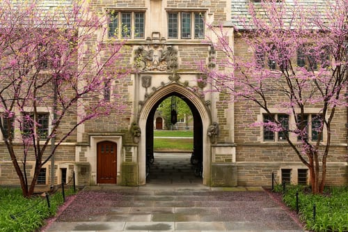 Apprendre l’anglais à l’Université de Princeton