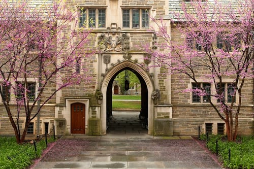 Studiare inglese all’Università di Princeton